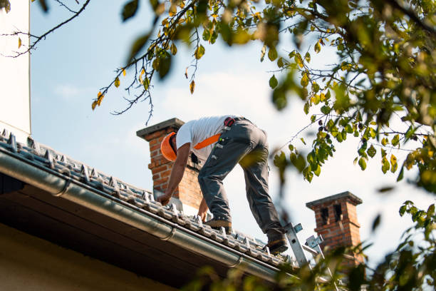 Best Flat Roof Repair Services  in Munfordville, KY